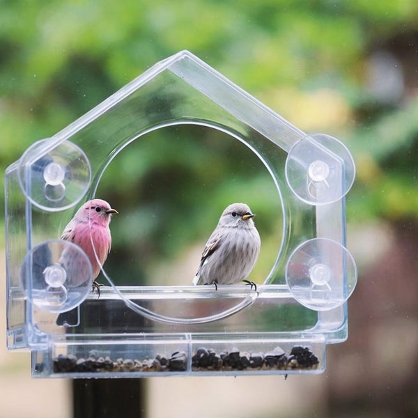 Acrylic Window Bird Feeder Carousel 2