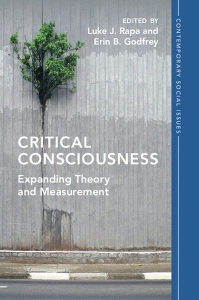 Critical Consciousness by Luke J. Rapa - Paperback Carousel 1