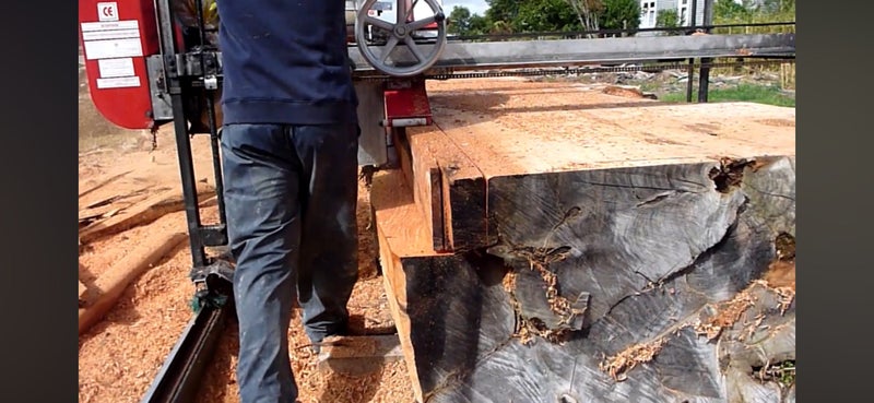 RIMU PORTABLE SAWMILL62863865891969114