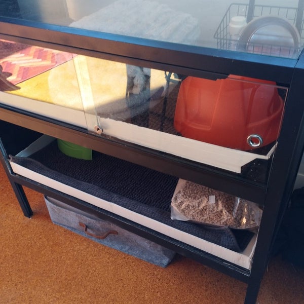 Guinea pig or hamster inside enclosure Carousel 1