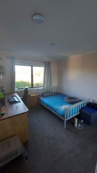 Greerton, 3 bedrooms62864730113795113