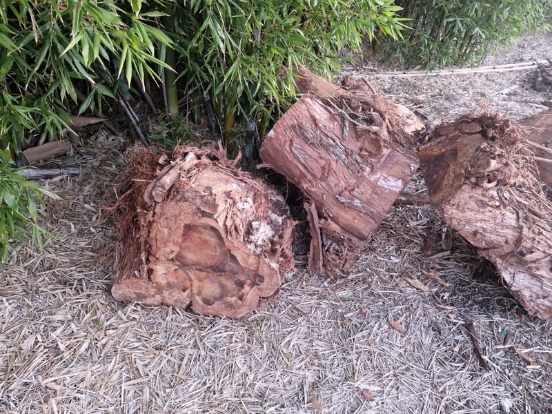 Pohutukawa Firewood Carousel 13