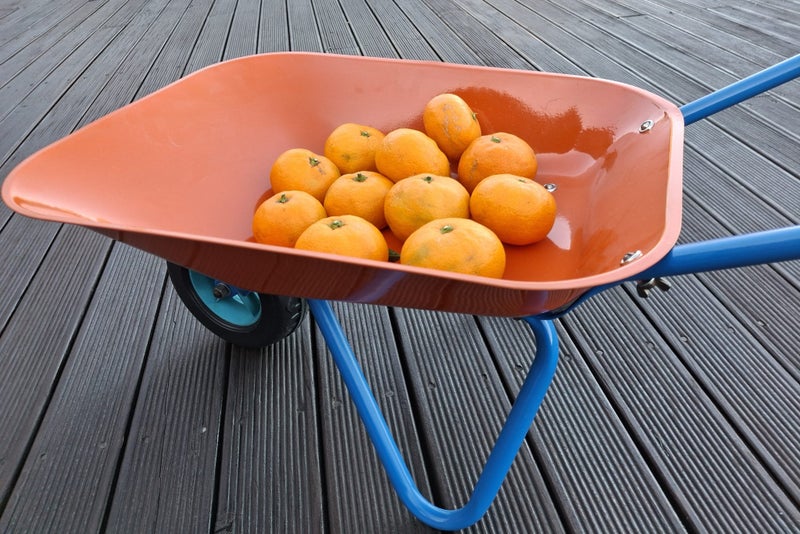 METAL child’s WHEELBARROW- produce display prop? Carousel 5
