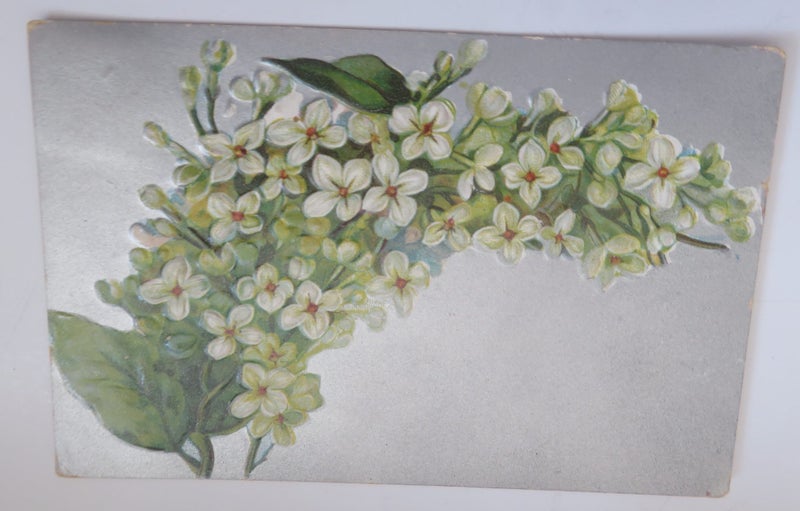Embossed Blossoms. Carousel 1