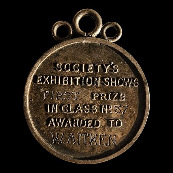 1890 Dunedin Exhibiton Medalet Carousel 2