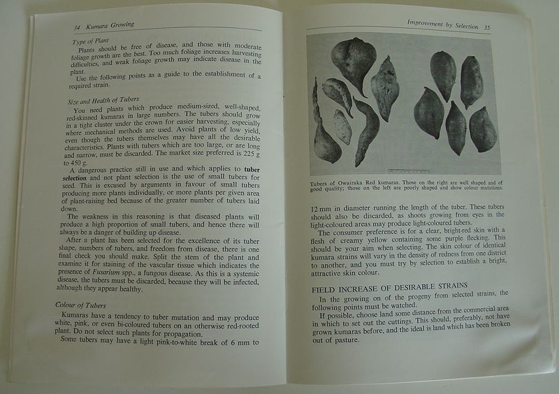 Kumara Growing NZ Dept Agriculture Bulletin 1972 Carousel 2