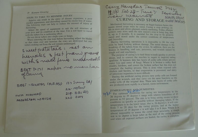 Kumara Growing NZ Dept Agriculture Bulletin 1972 Carousel 9