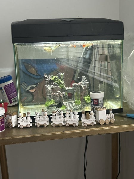 Fish tank Carousel 1