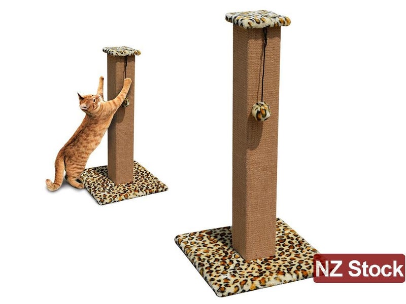 PTN NEW Cat Scratcher Sale Sale Sale Carousel 1
