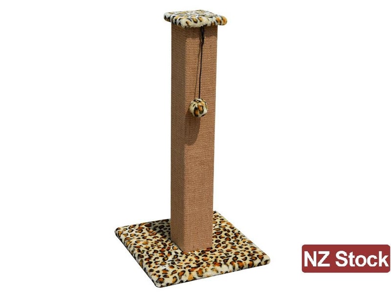 PTN NEW Cat Scratcher Sale Sale Sale Carousel 2