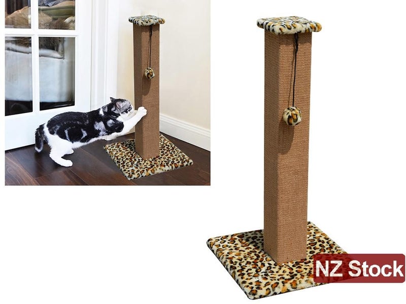 PTN NEW Cat Scratcher Sale Sale Sale Carousel 1