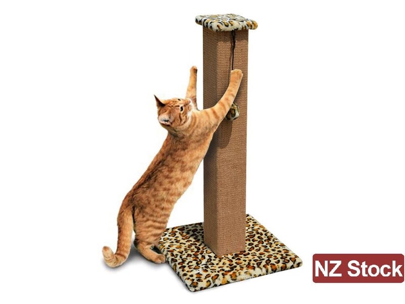 PTN NEW Cat Scratcher Sale Sale Sale Carousel 2