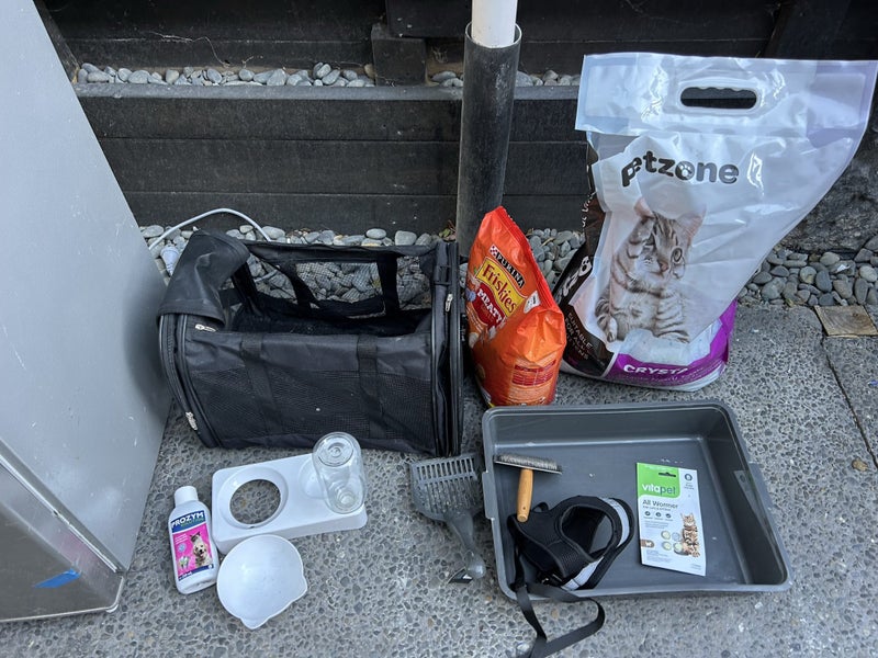 CAT ESSENTIALS KIT INCLUDING CARRIER, LEASH, LITTER BOX, LITTER ETC Carousel 1