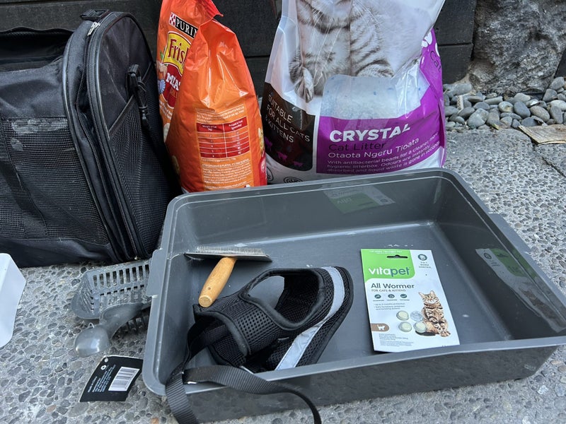 CAT ESSENTIALS KIT INCLUDING CARRIER, LEASH, LITTER BOX, LITTER ETC Carousel 2