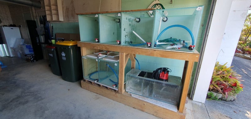 Large fishtank breeding setup Carousel 1