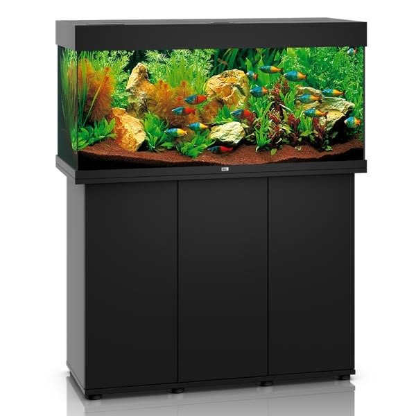 Juwel Rio 240L Large Fish Aquarium, with fish. Carousel 1