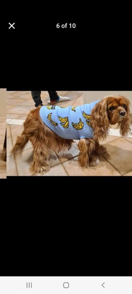 5x dog jumpers + one bath robe Carousel 11