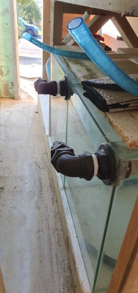 Large fishtank breeding setup Carousel 7