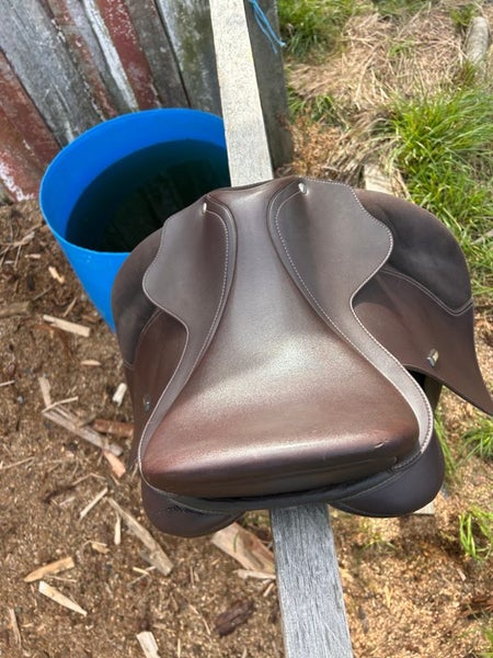 Near New Wintec Dressage Show Saddle 16”62863239929345111
