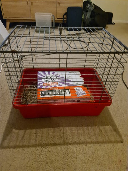 Pending collection ...FREE travel cage and 2 cute female guinea pigs Carousel 9