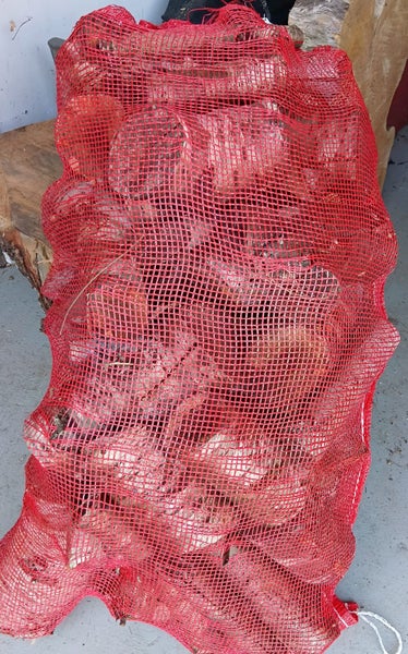 FIREWOOD - Almond Carousel 1