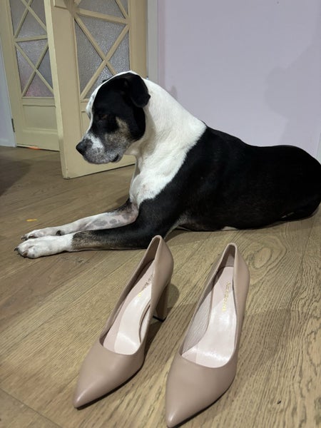Women shoes heel Carousel 4