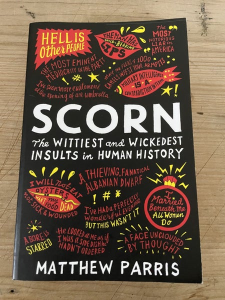 Scorn by Matthew Parris - Medium Paperback Carousel 1