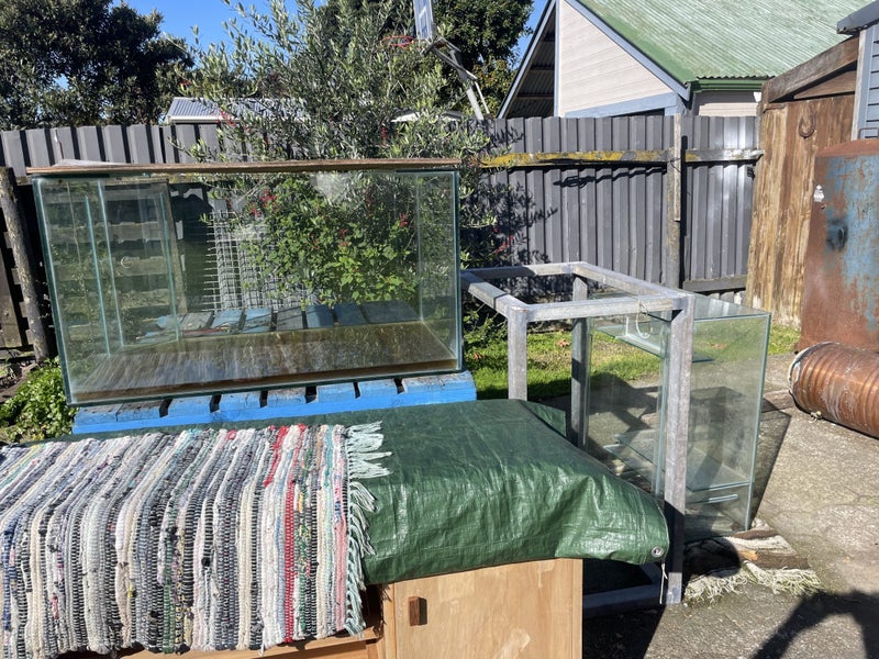 Saltwater tank and sump Carousel 1
