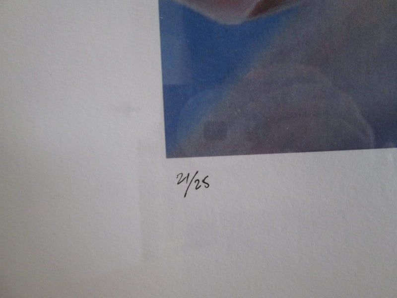 Limited Edition David Woodings ‘A Corolla of Memories’ Print Carousel 2