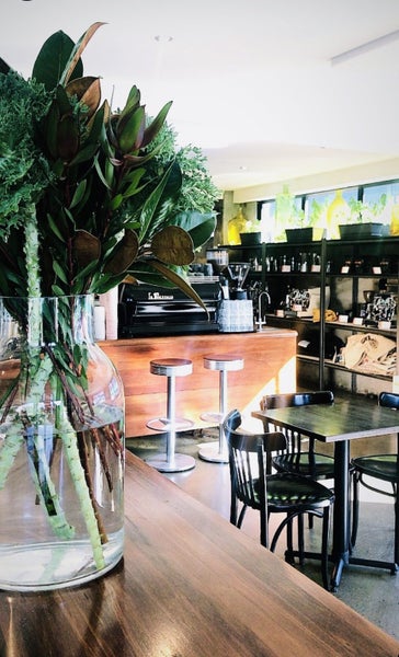 Revive Espresso Carousel 1
