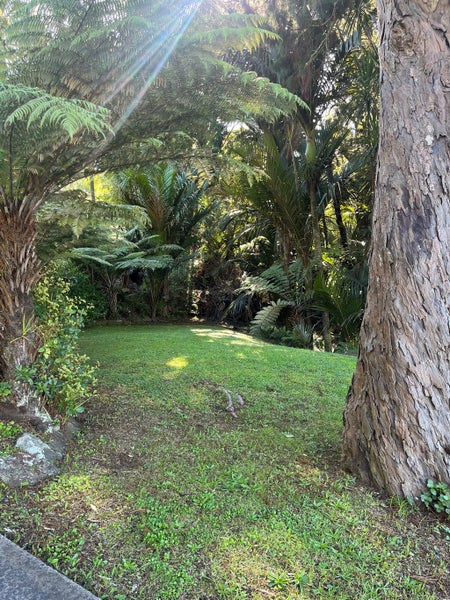 Image 3 of 29