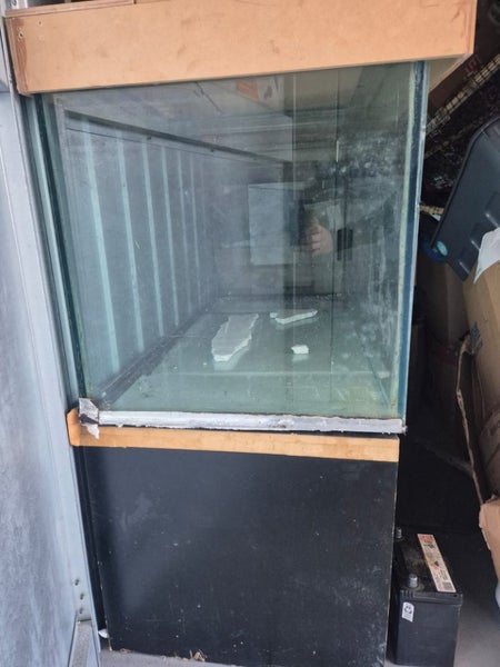 Fish Tank (400 litre tank) Carousel 2