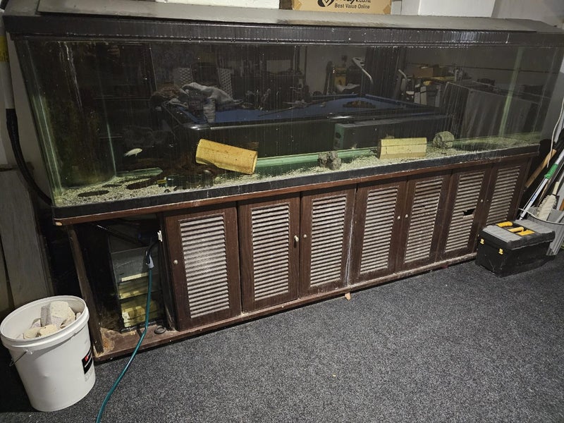 LARGE 3MTR AQUARIUM SET UP Carousel 2