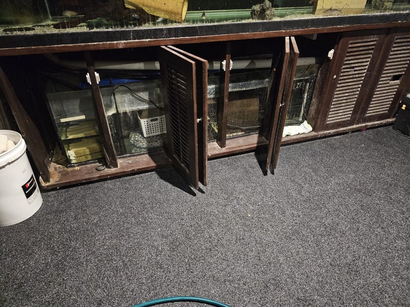 LARGE 3MTR AQUARIUM SET UP Carousel 3