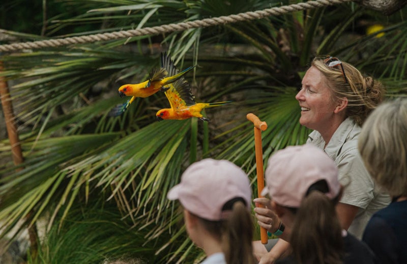 Ultimate Auckland Package to entertain the kids! - Support St John Annual Appeal Carousel 1
