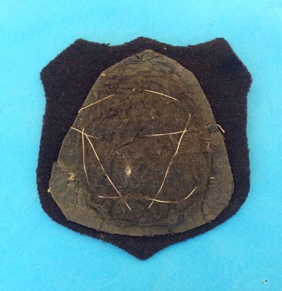 RNZ Artillery badge Carousel 2