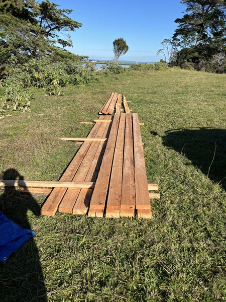 Macrocarpa TIMBER Carousel 1