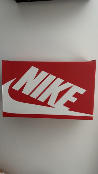 Nike dunk retro Carousel 4