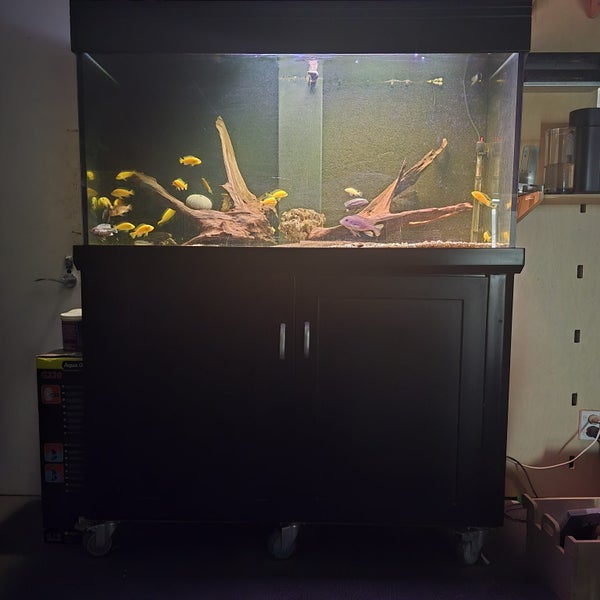 400l Fish tank with fish Carousel 1