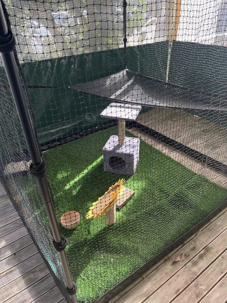 Catnets Catio Carousel 1