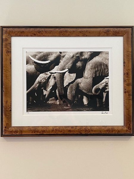 Framed photo Carousel 2