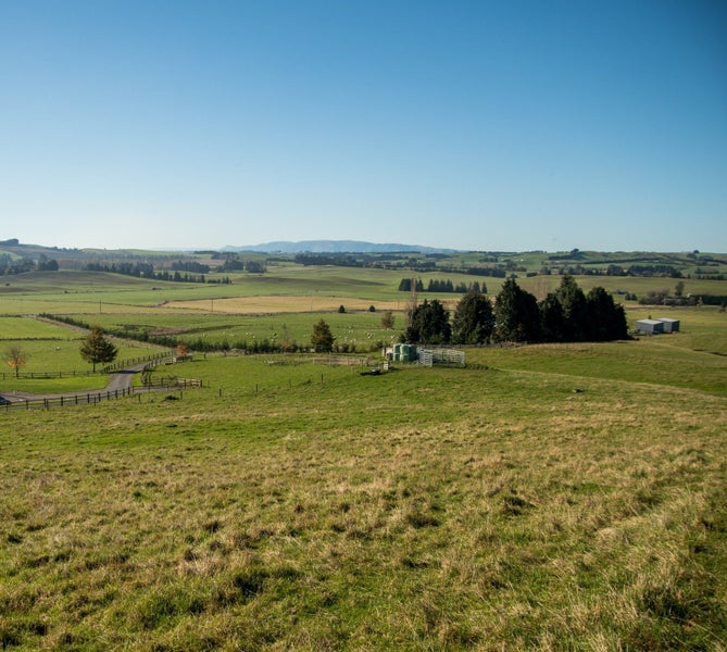 Image 1 of 17