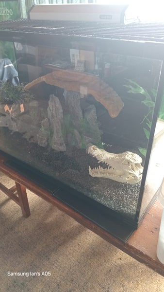 Fish or reptile tank comes with all filters & pump etc Carousel 2