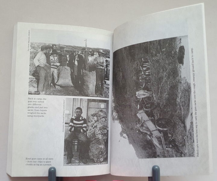 My Story NZ: POOR MAN'S GOLD, Diary of Reuben Radcliffe, Northland, 1899-1900 Carousel 9
