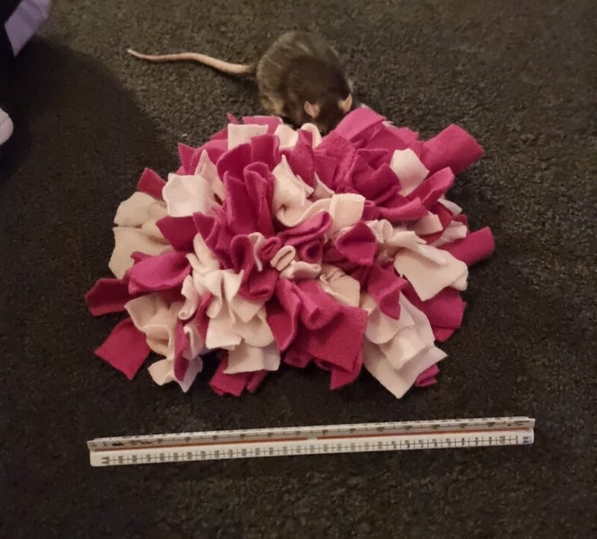 Handmade Small Animal Snuffle Mat - Pink Carousel 3