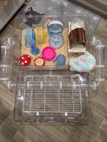 Mice and all cage accessories Carousel 4