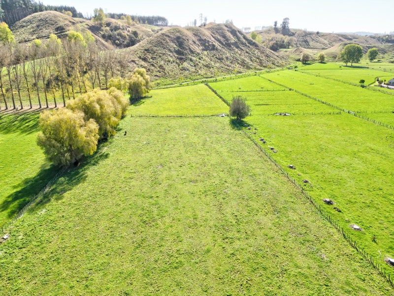 Image 2 of 11
