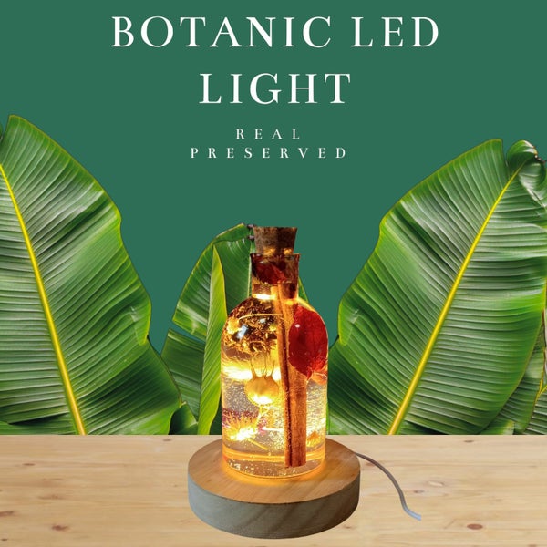 Autumn Real Preserved LED light lamp Carousel 1