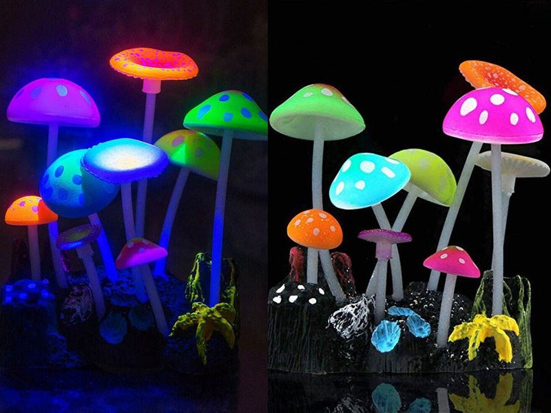 PTN NEW Fish Tank Ornament Sale Sale Carousel 11