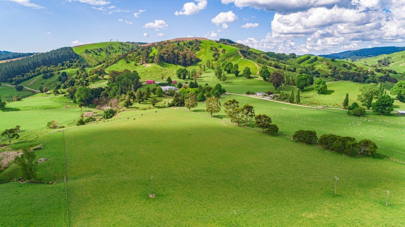 Iconic Dress Circle Wairarapa Station62863292304130114
